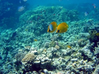 Subaquatique Creillois